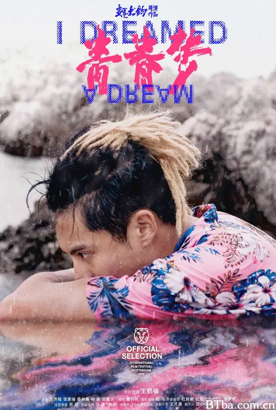 青春梦/I Dreamed A Dream