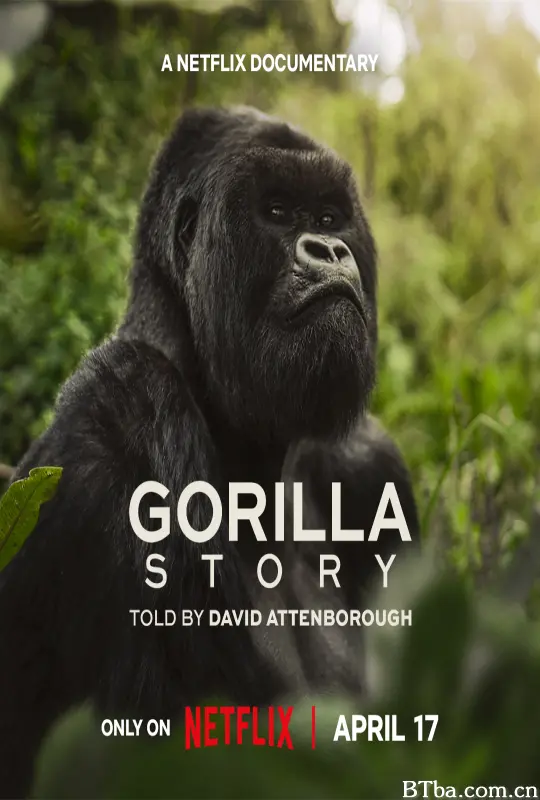 大卫·艾登堡：大猩猩的故事/A Gorilla Story: Told by David Attenborough