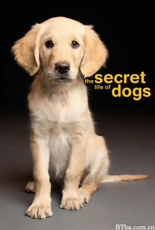 狗的秘密生活/狗狗密语(港)/萌犬秘闻/狗的秘闻/Secret Life of Dogs-720p|1080p高清bt种子下载