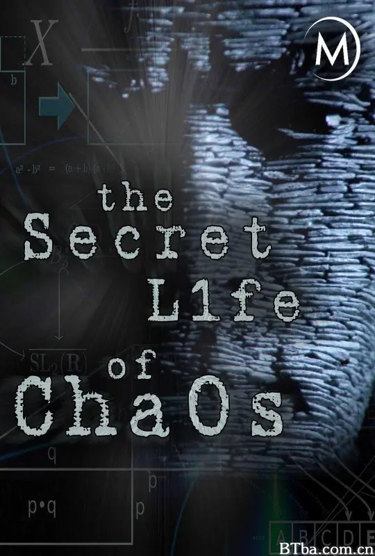神秘的混沌理论/BBC 神秘的混沌理论/The Secret Life of Chaos-720p|1080p高清bt种子下载