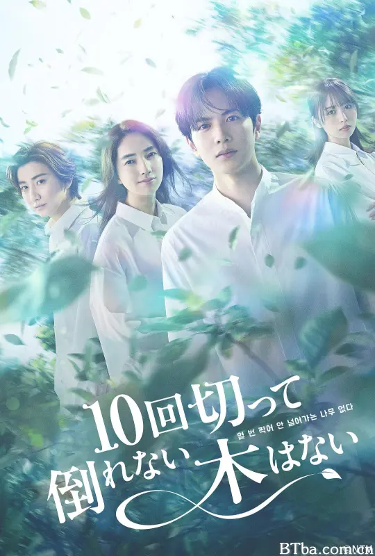没有砍十次还不倒的树/10回切って倒れない木はない-720p|1080p高清bt种子下载