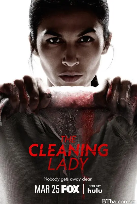 清洁工 第四季/女清洁工/The Cleaning Lady Season 4