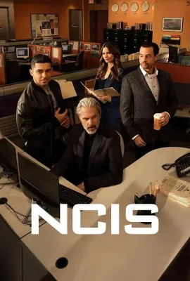 海军罪案调查处 第二十三季/NCIS: Naval Criminal Investigative Service Season 23