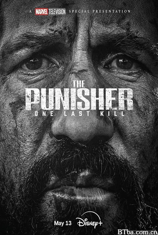 惩罚者：最后一击/The Punisher: One Last Kill