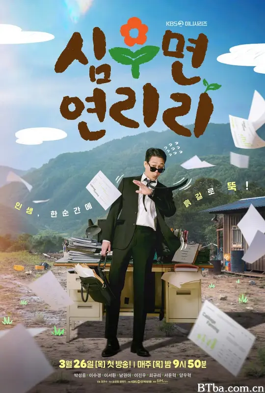 爱在连理里/심우면 연리리