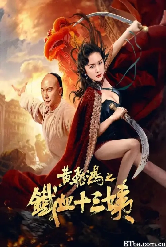 黄飞鸿之铁血十三姨