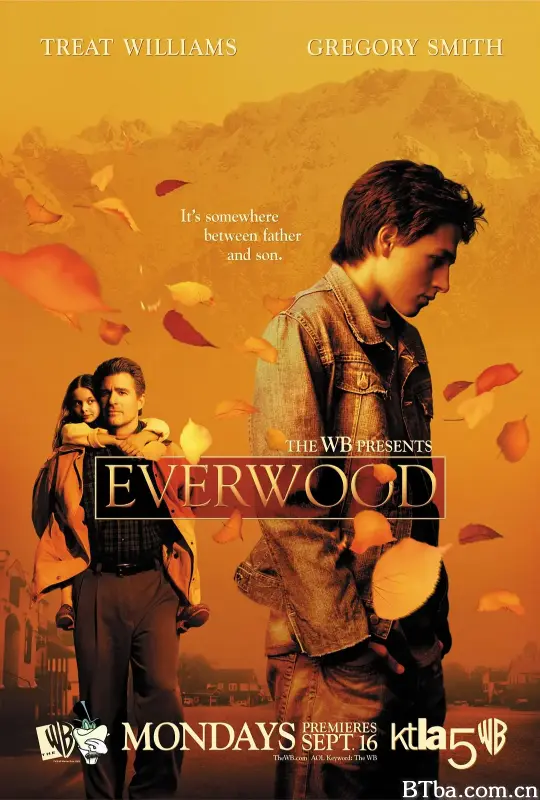 雪山镇 第一季/Everwood Season 1