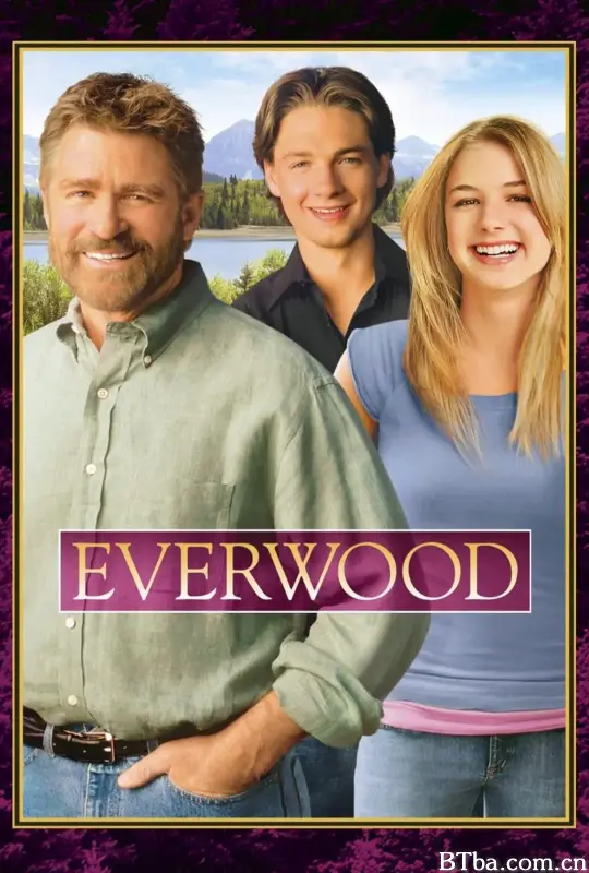 雪山镇  第四季/Everwood Season 4