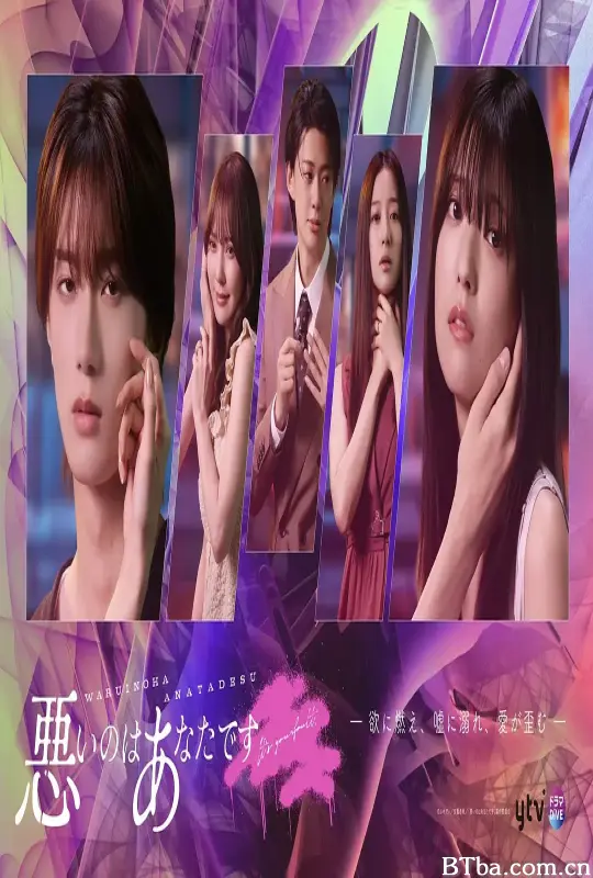 错的是你/悪いのはあなたです