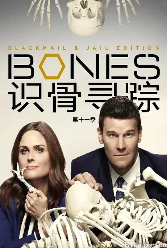 识骨寻踪 第十一季/Bones Season 11