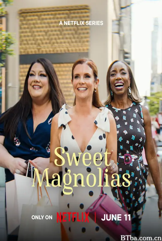 甜木兰 第五季/Sweet Magnolias Season 5