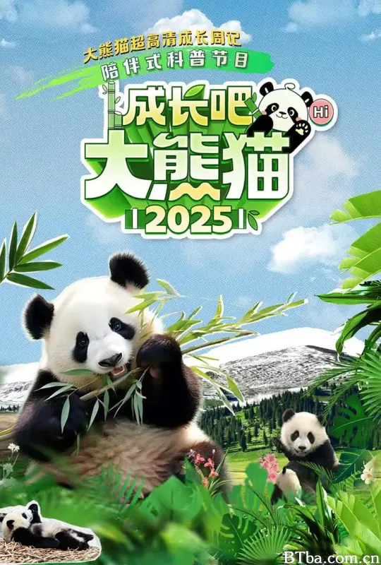 成长吧！大熊猫2025
