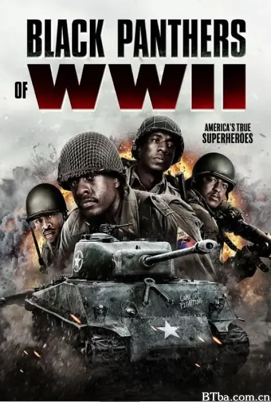 二战黑豹/Black Panthers of WWII