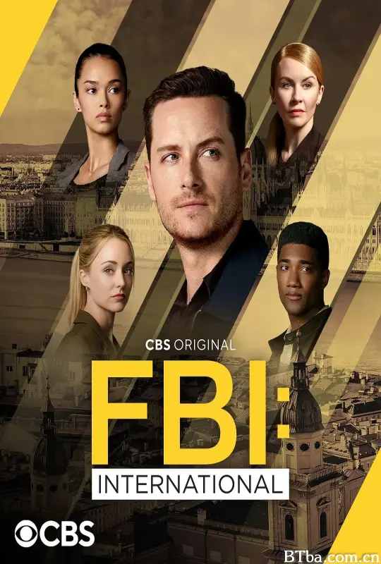 联邦调查局：国际 第四季/FBI: International Season 4