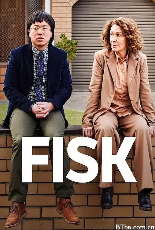 律师菲斯克 第三季/Fisk Season 3