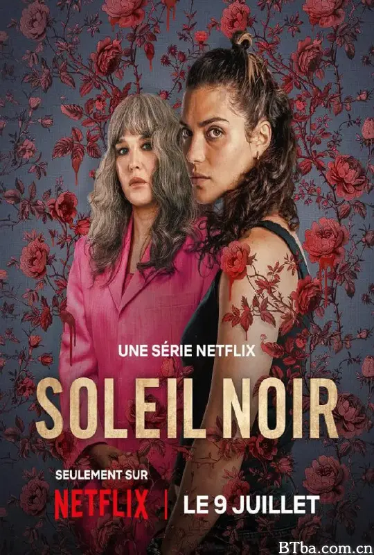 暗阳之下/Qui sème le vent