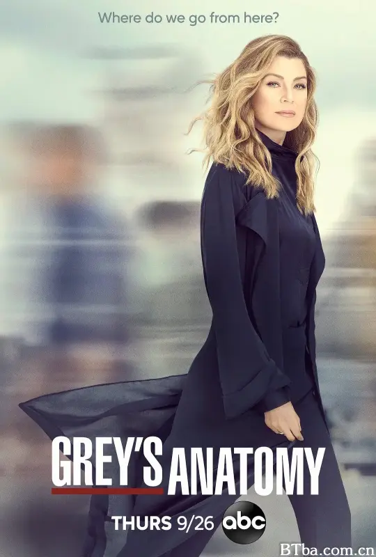 实习医生格蕾 第十六季/Grey's Anatomy Season 16