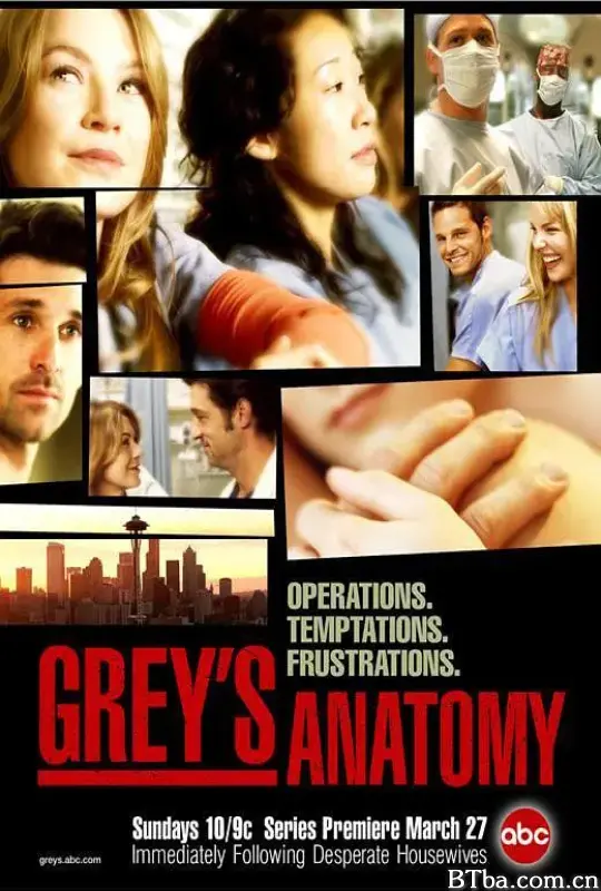 实习医生格蕾 第一季/Grey's Anatomy Season 1