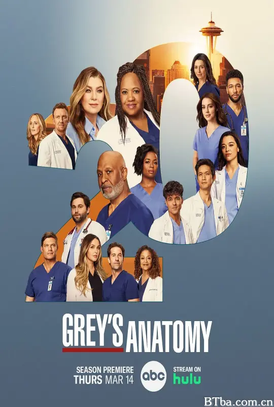 实习医生格蕾 第二十季/Grey’s Anatomy Season 20