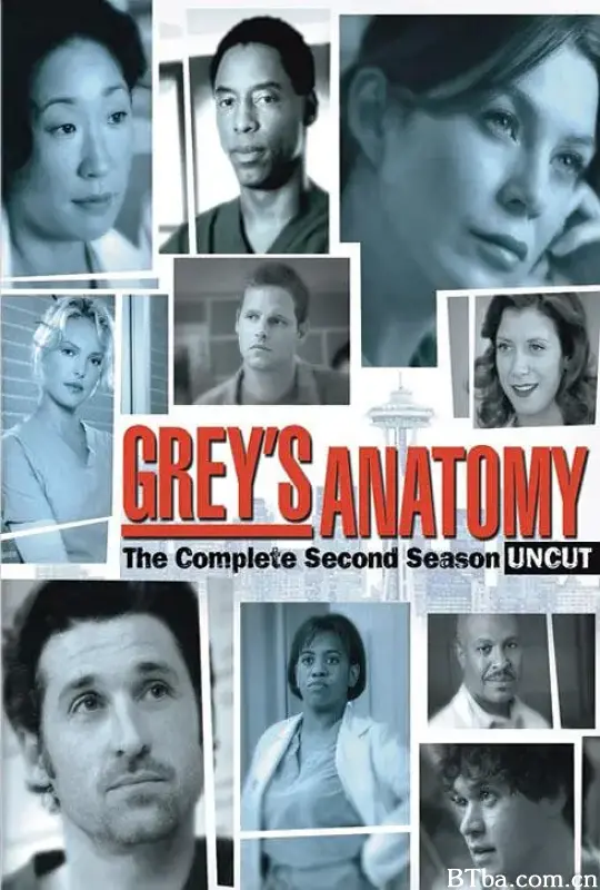 实习医生格蕾  第二季/Grey's Anatomy Season 2