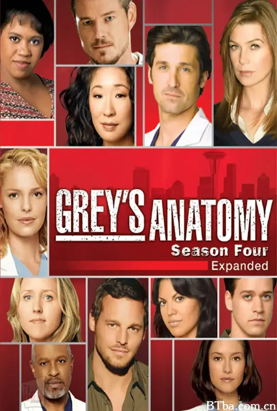 实习医生格蕾  第四季/Grey's Anatomy Season 4