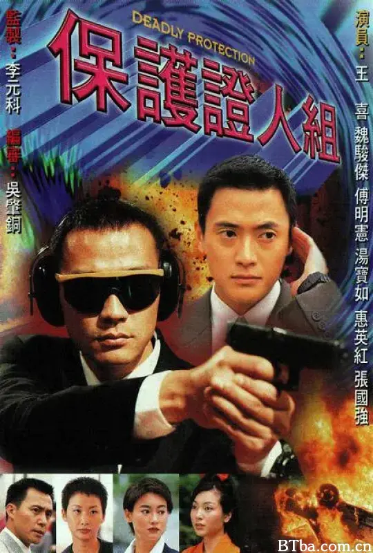 保护证人组/保護證人組