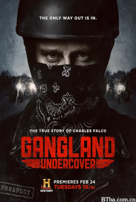 黑帮卧底 第一季/Gangland Undercover Season 1