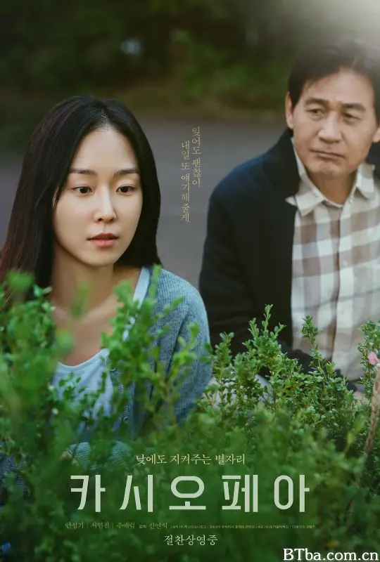 仙后座/카시오페아