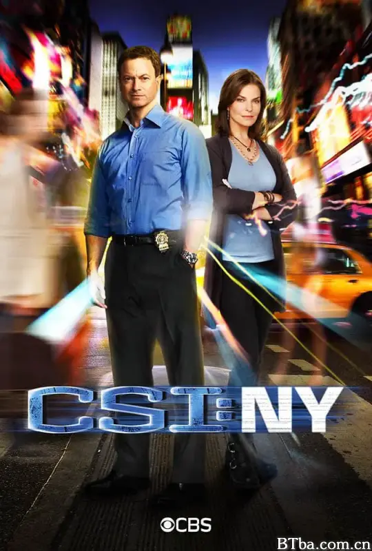 犯罪现场调查：纽约 第八季/CSI: NY Season 8