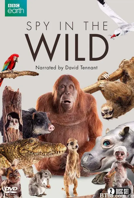荒野间谍 第一季/Spy in the Wild Season 1