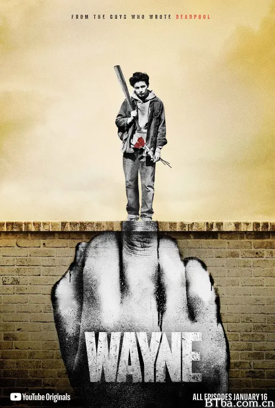 韦恩/Wayne