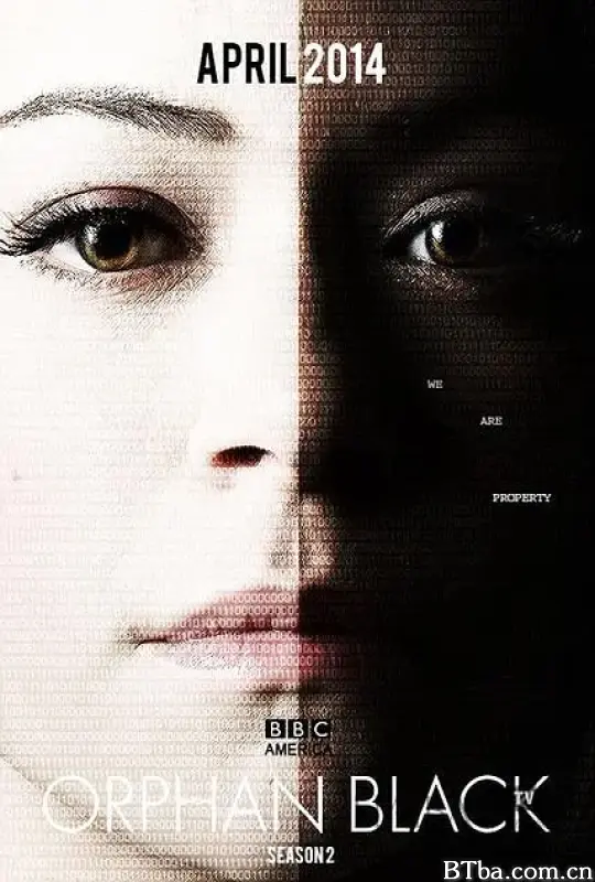 黑色孤儿 第二季/Orphan Black Season 2