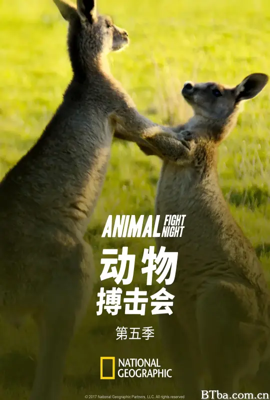 动物搏击会 第五季/Animal Fight Night Season 5
