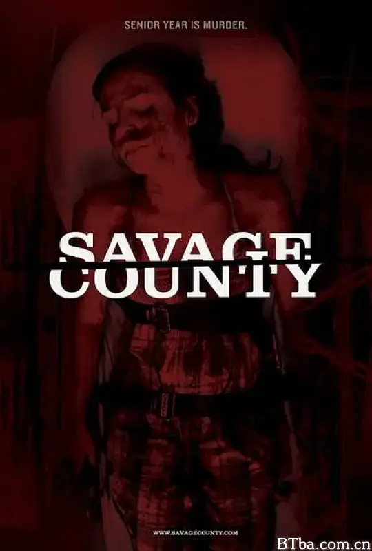 野蛮郡/Savage County
