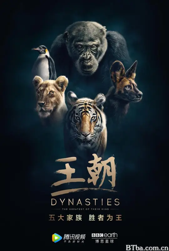 王朝 第一季/Dynasties Season 1