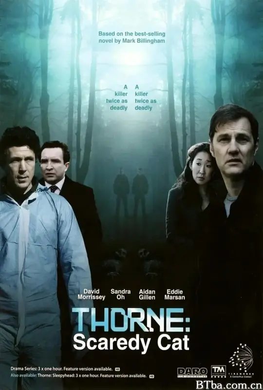 警长索恩：胆小鬼/Thorne: Scaredy Cat