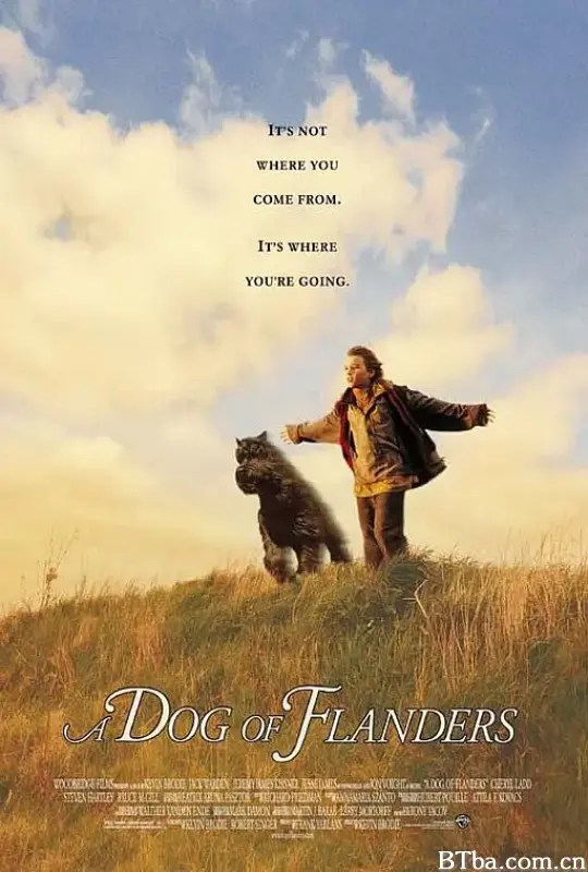 义犬报恩/A Dog of Flanders