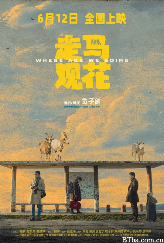 走马观花